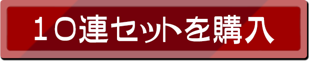 10連セットを購入！