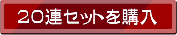 20連セットを購入！