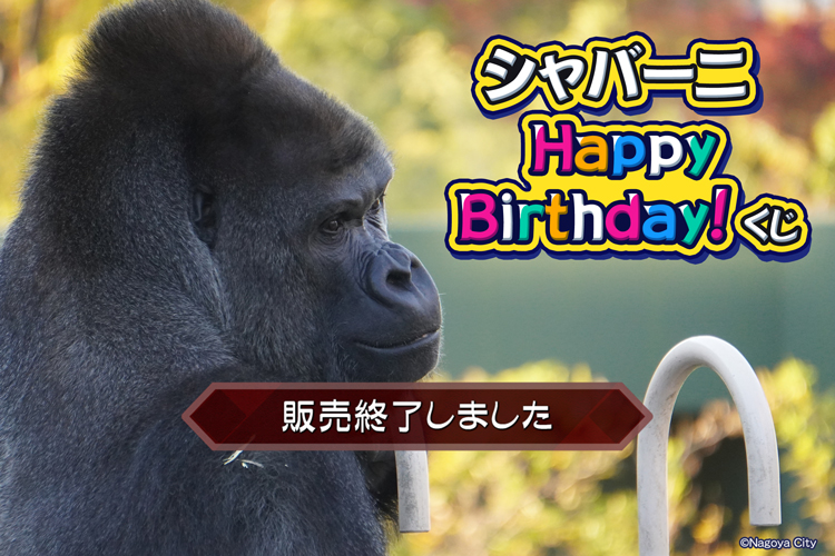 シャバーニ Happy Birthday! くじ